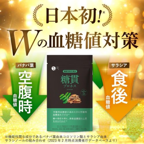 糖貫プロネスpremium商品画像