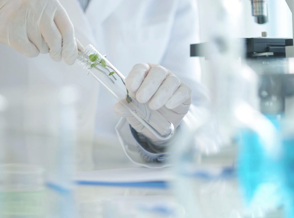 国内GMP工場で製品を製造