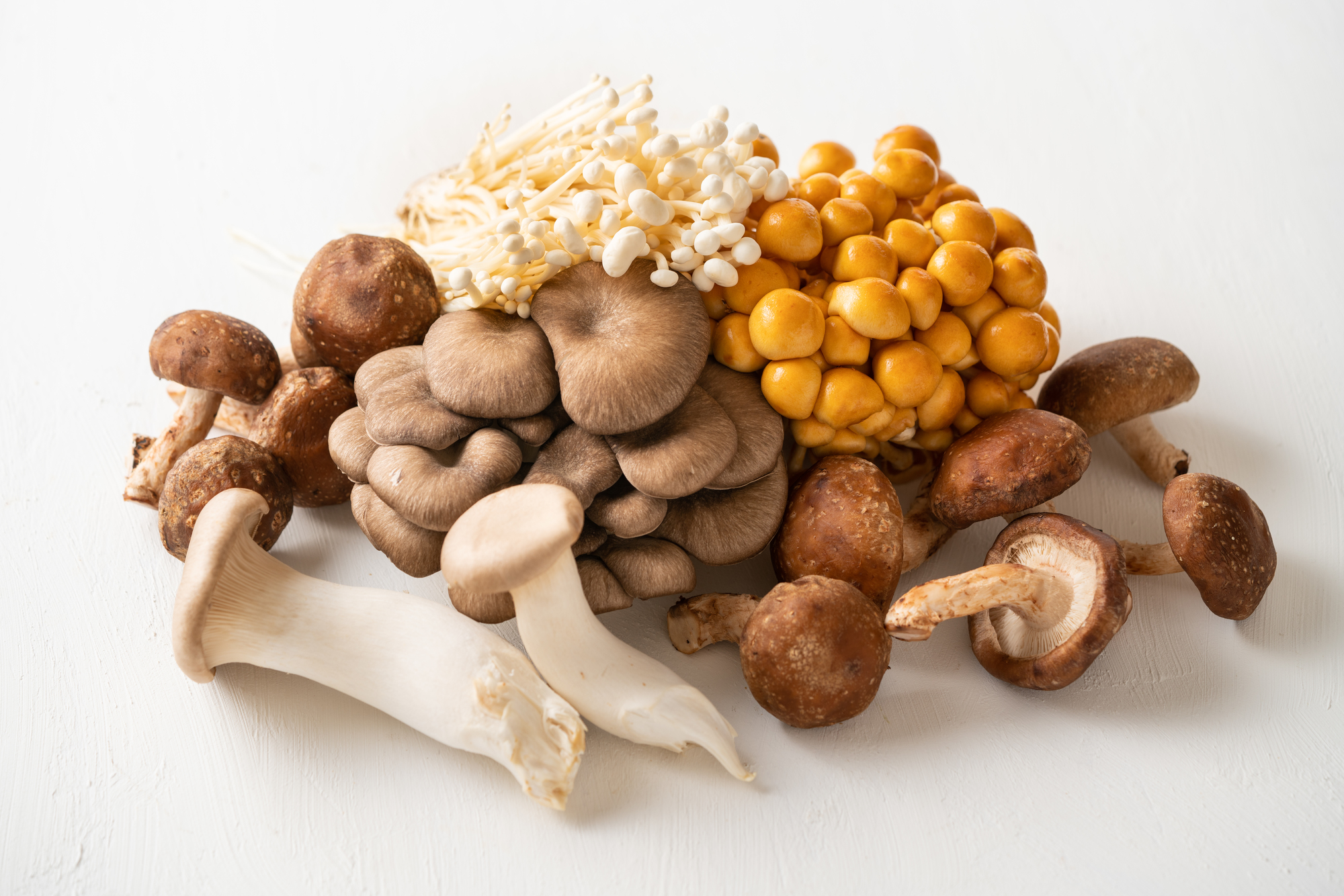 キノコアイキャッチ