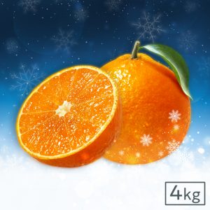 イミコトマルシェ｜グルテンフリー雑穀・発酵食品・安心安全な健康食材の専門お取り寄せ通販サイト【定期便あり】