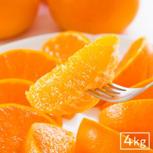 イミコトマルシェ｜グルテンフリー雑穀・発酵食品・安心安全な健康食材の専門お取り寄せ通販サイト【定期便あり】