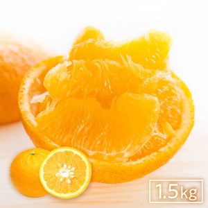 イミコトマルシェ｜グルテンフリー雑穀・発酵食品・安心安全な健康食材の専門お取り寄せ通販サイト【定期便あり】