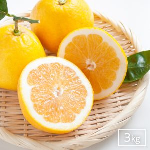 イミコトマルシェ｜グルテンフリー雑穀・発酵食品・安心安全な健康食材の専門お取り寄せ通販サイト【定期便あり】