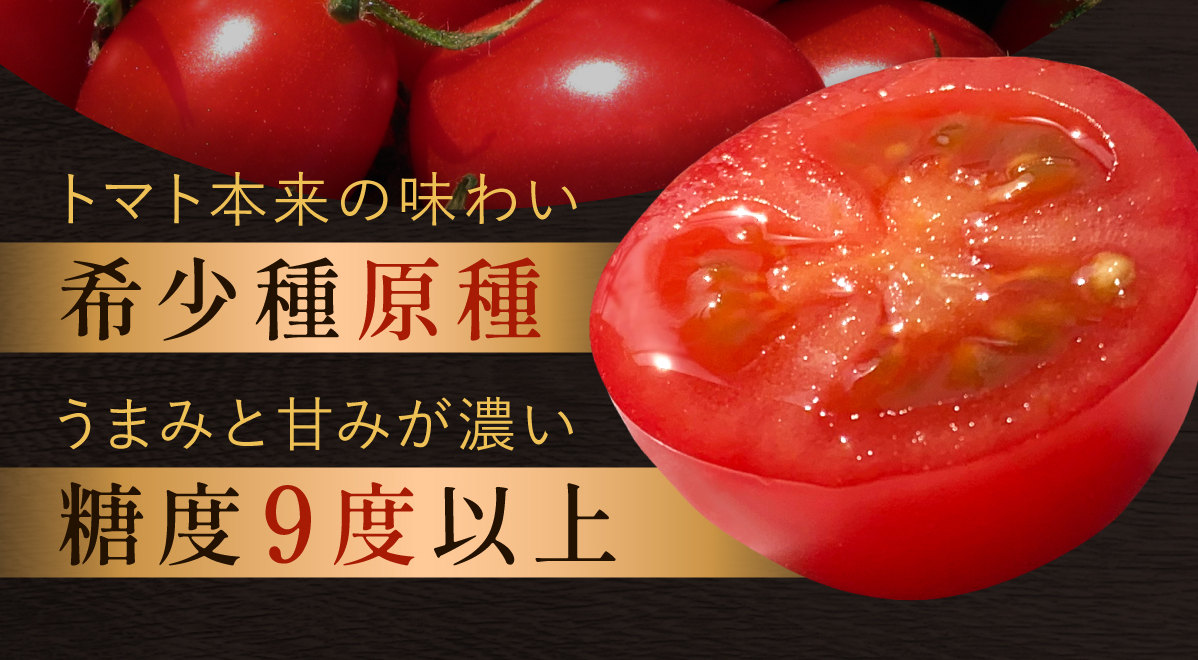 森本農園・フルーツトマト