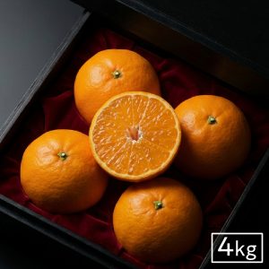 イミコトマルシェ｜グルテンフリー雑穀・発酵食品・安心安全な健康食材の専門お取り寄せ通販サイト【定期便あり】