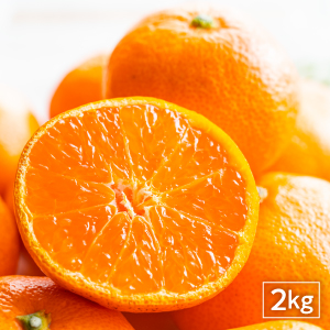 イミコトマルシェ｜グルテンフリー雑穀・発酵食品・安心安全な健康食材の専門お取り寄せ通販サイト【定期便あり】