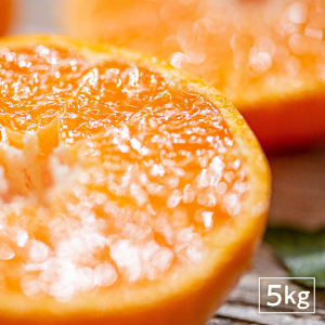 イミコトマルシェ｜グルテンフリー雑穀・発酵食品・安心安全な健康食材の専門お取り寄せ通販サイト【定期便あり】