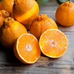 イミコトマルシェ｜グルテンフリー雑穀・発酵食品・安心安全な健康食材の専門お取り寄せ通販サイト【定期便あり】